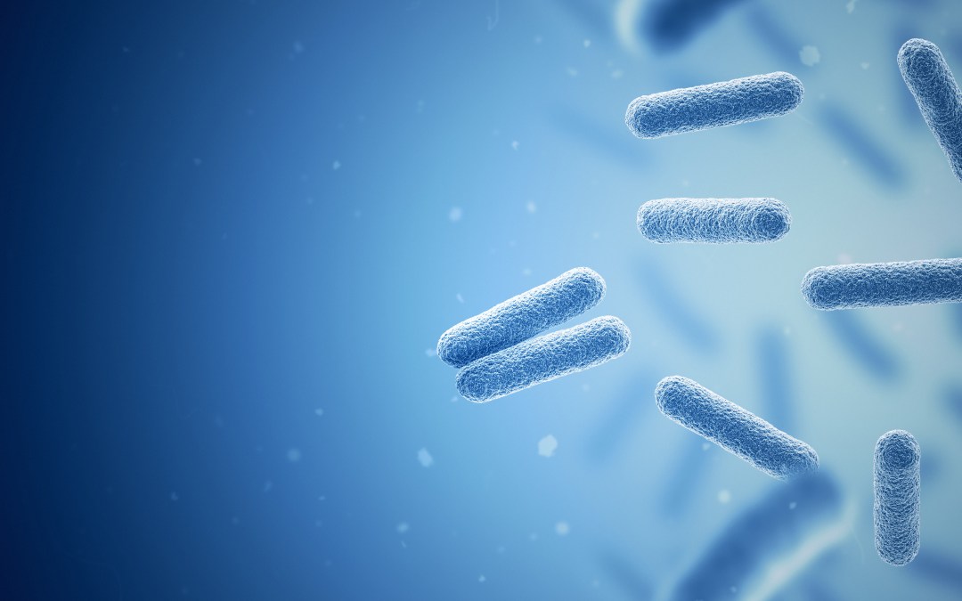 When should I remove a PICC if it is infected?