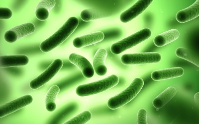 The routes of vascular access device infections