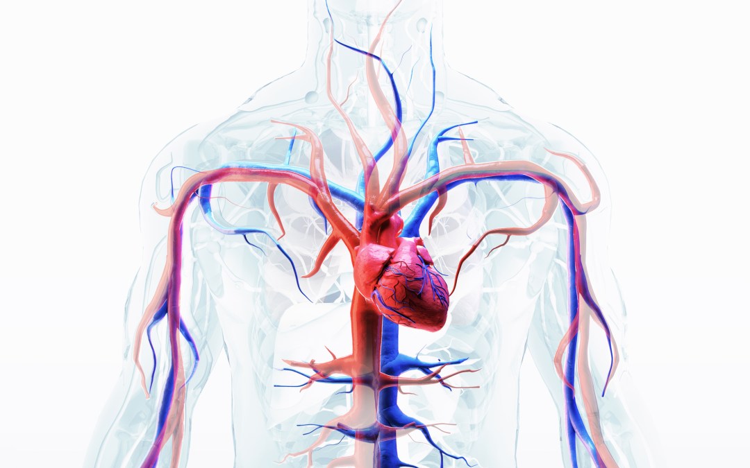 Understanding the Concept of Vessel Health and Preservation